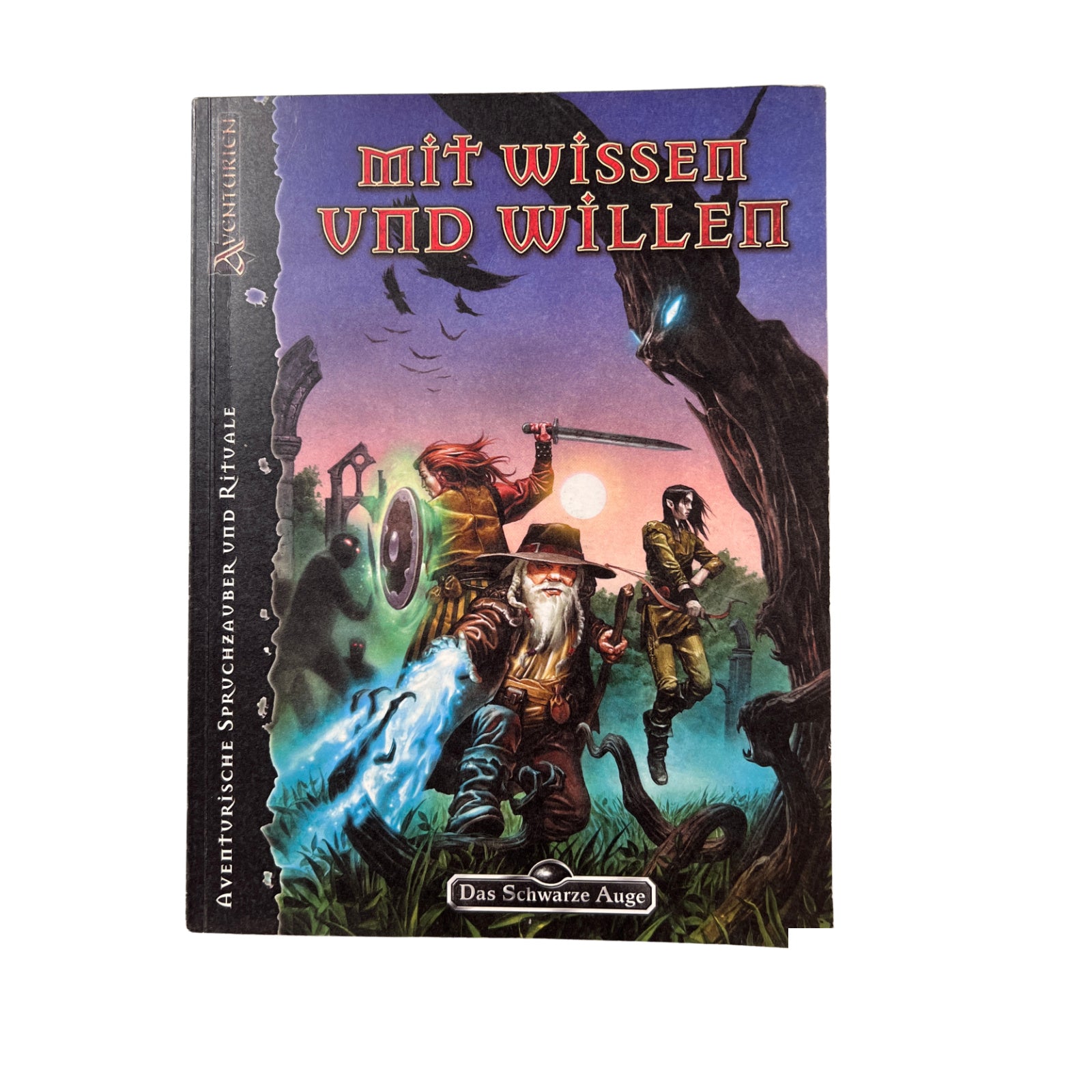 Das Schwarze Auge DSA Spielhilfe Mit Wissen und Willen – Brettspielimperium
