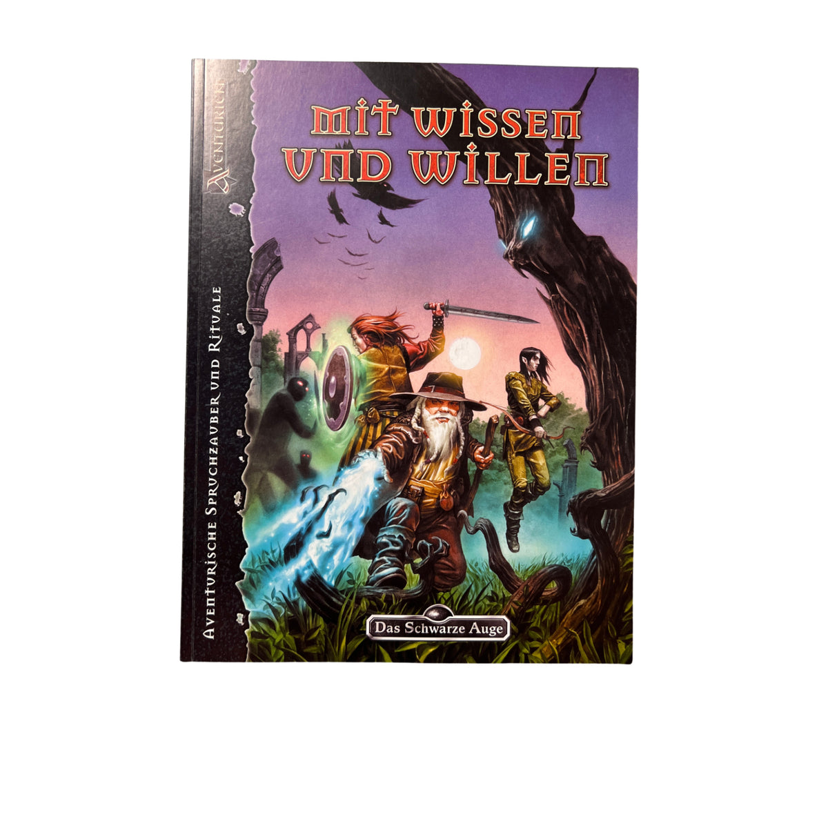 Das Schwarze Auge DSA Spielhilfe Mit Wissen und Willen – Brettspielimperium