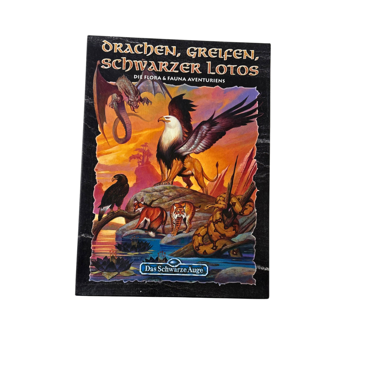 DSA Das Schwarze Auge Drachen Greifen Schwarzer Lotos Box Fanpro - Vollständig – Brettspielimperium