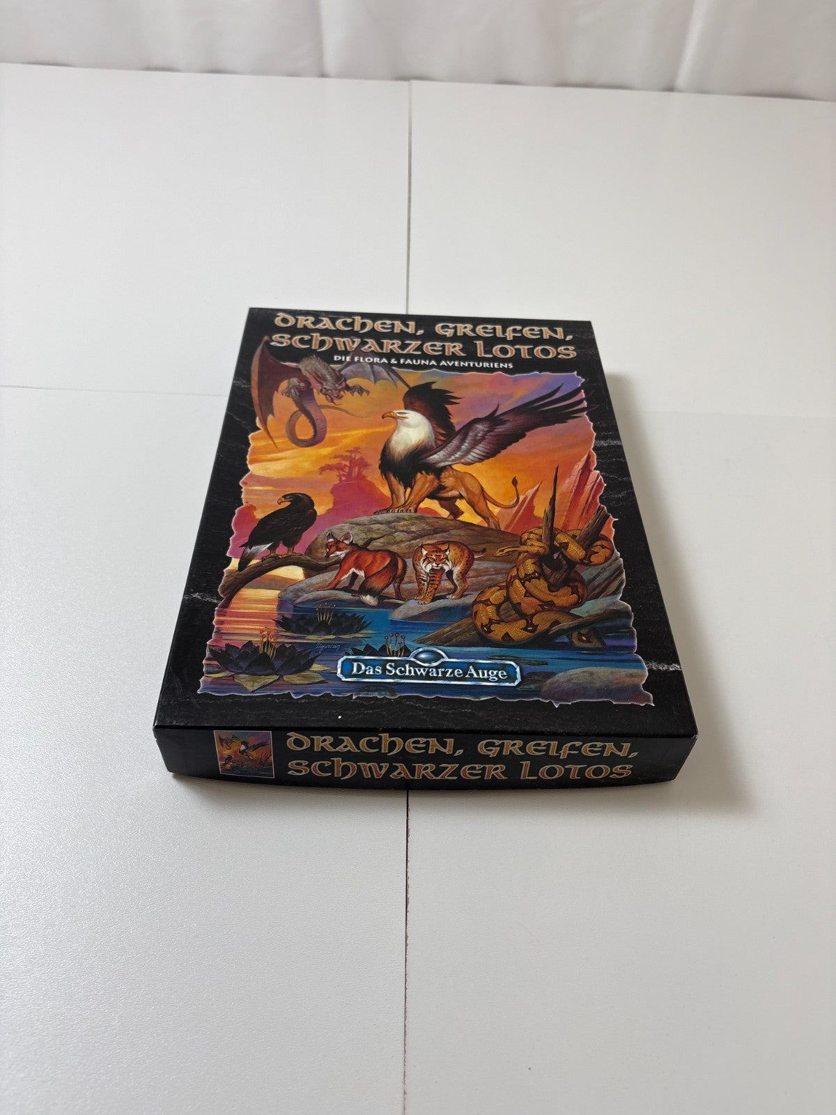 DSA Das Schwarze Auge Drachen Greifen Schwarzer Lotos Box Fanpro - Vollständig - Ansicht 3