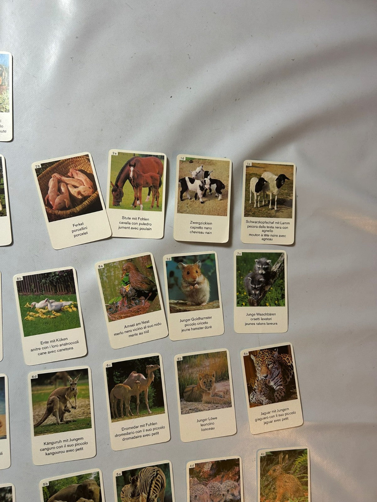 Detailfoto 7 – SKU A9628 – Kartenspiel gebraucht bei Brettspielimperium