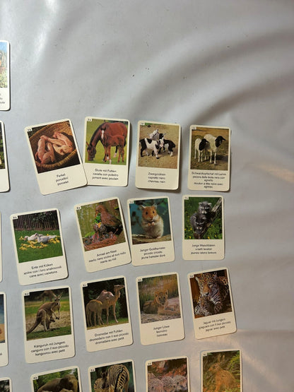 Detailfoto 7 – SKU A9628 – Kartenspiel gebraucht bei Brettspielimperium