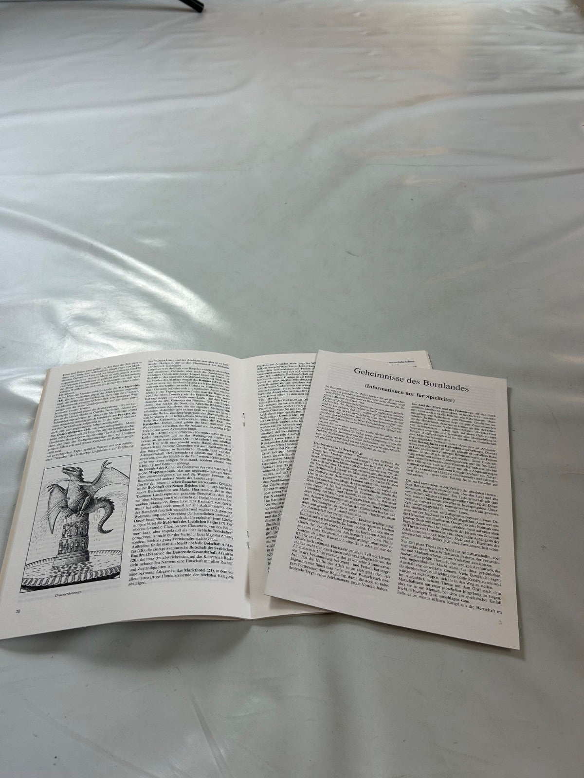 Detailfoto 7 – SKU A11200 – Rollenspiel-Buch gebraucht bei Brettspielimperium