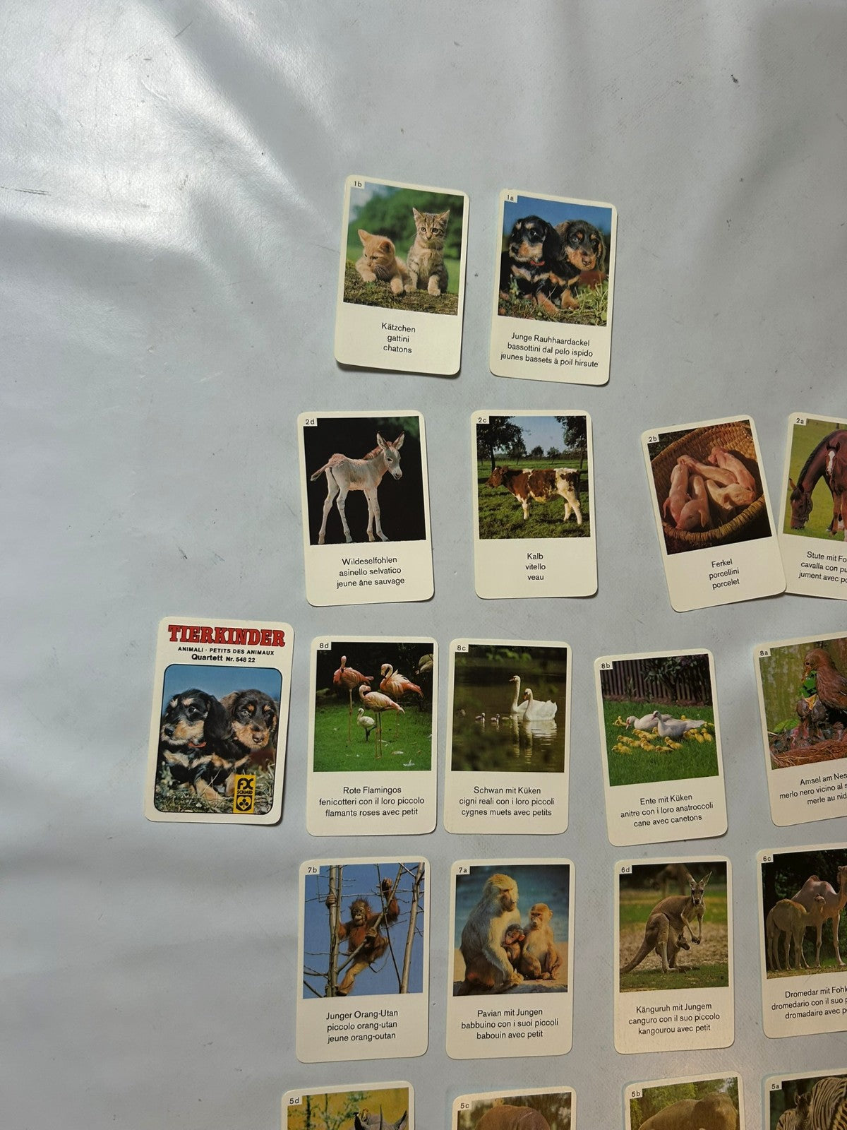 Detailfoto 6 – SKU A9628 – Kartenspiel gebraucht bei Brettspielimperium