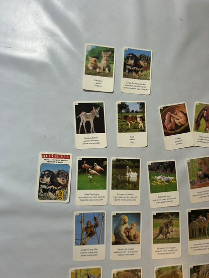 Detailfoto 6 – SKU A9628 – Kartenspiel gebraucht bei Brettspielimperium