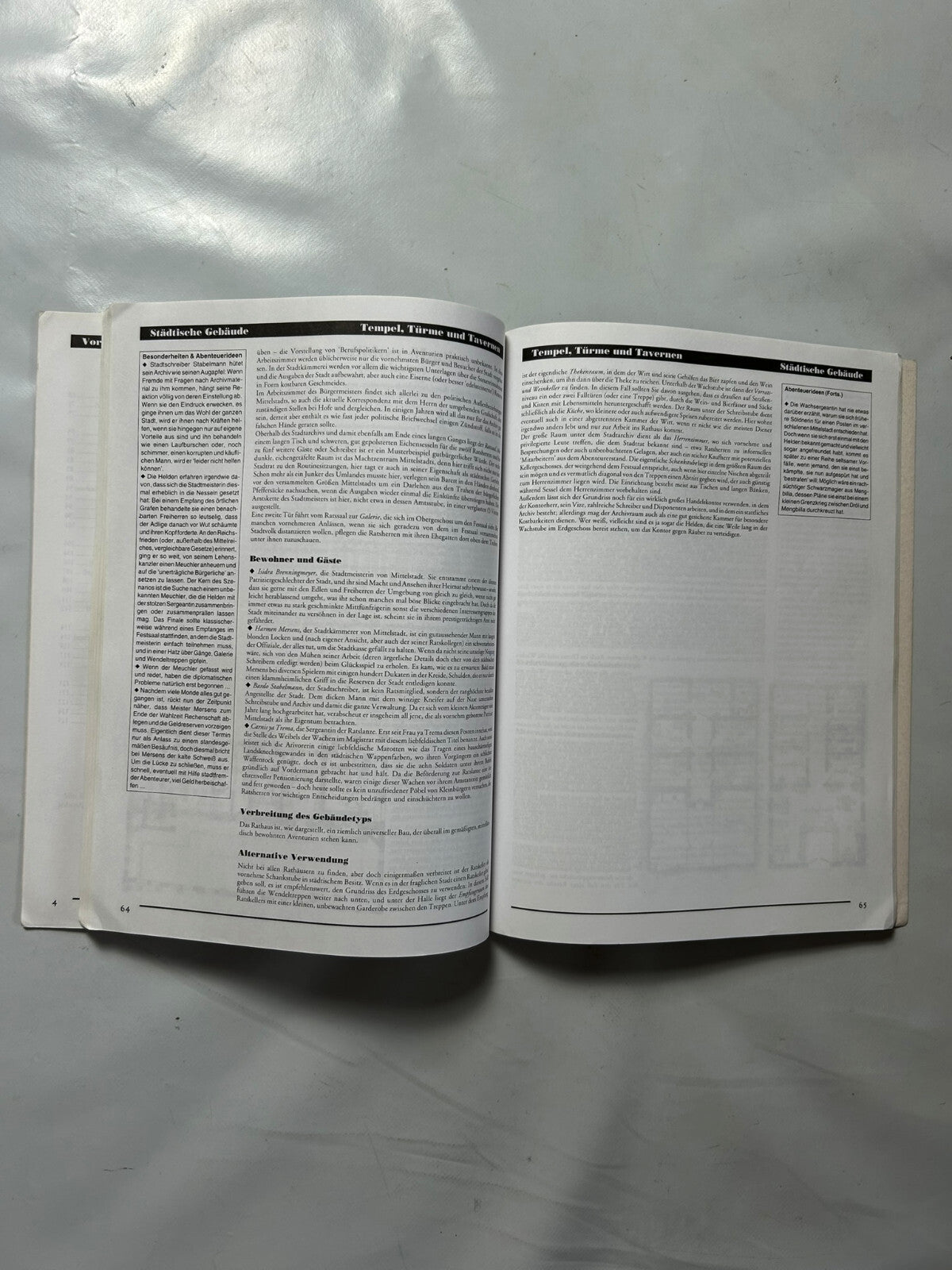Detailfoto 4 – SKU A8705 – Rollenspiel-Buch gebraucht bei Brettspielimperium