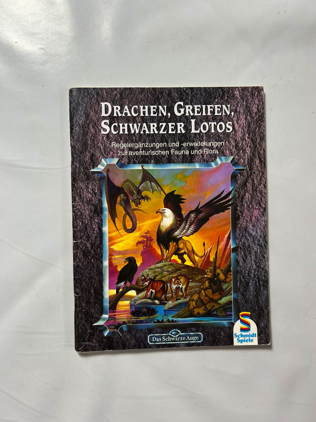 Detailfoto 2 – SKU A8693 – Rollenspiel-Buch gebraucht bei Brettspielimperium