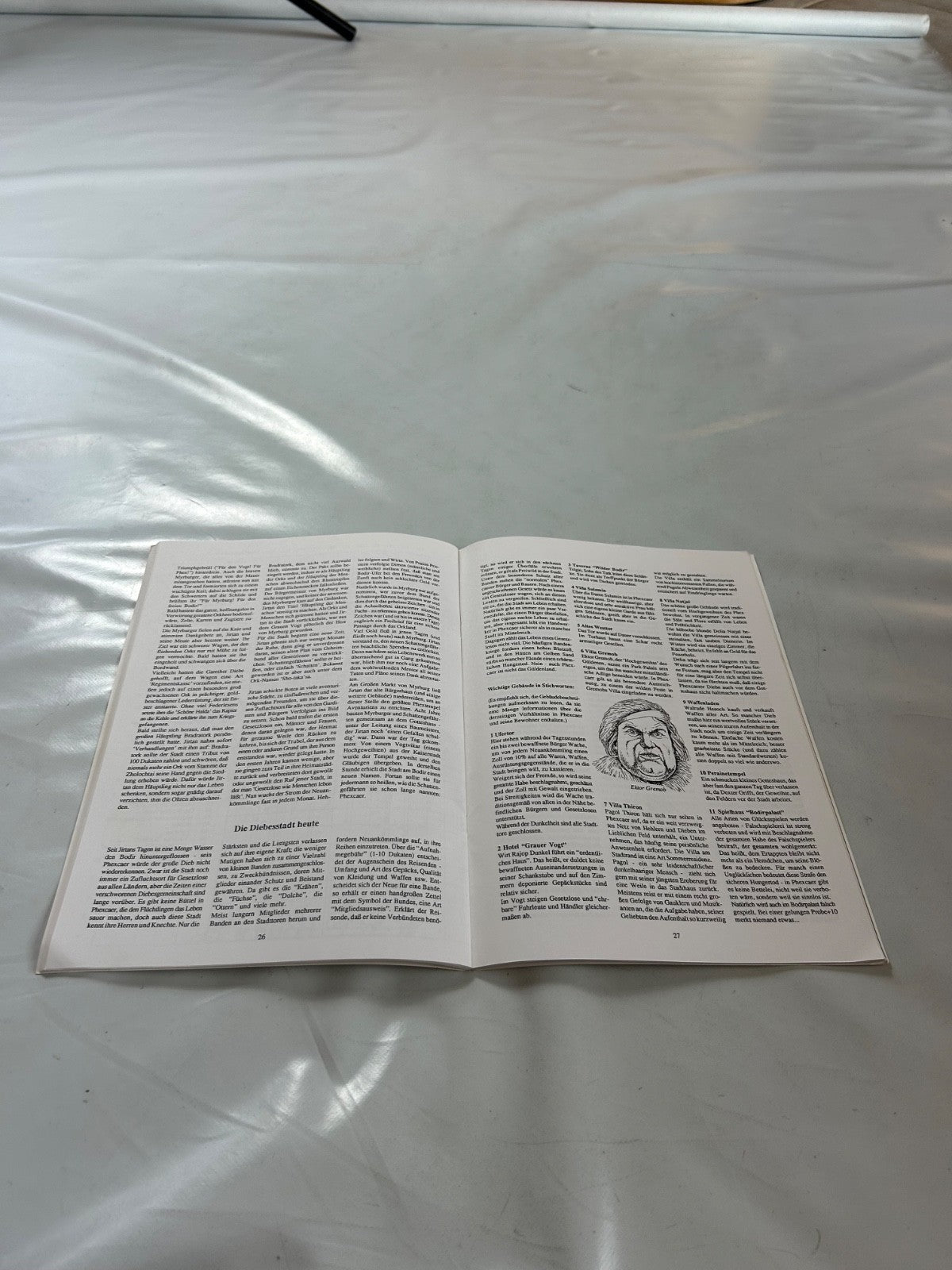 Detailfoto 7 – SKU A11201 – Rollenspiel-Buch gebraucht bei Brettspielimperium