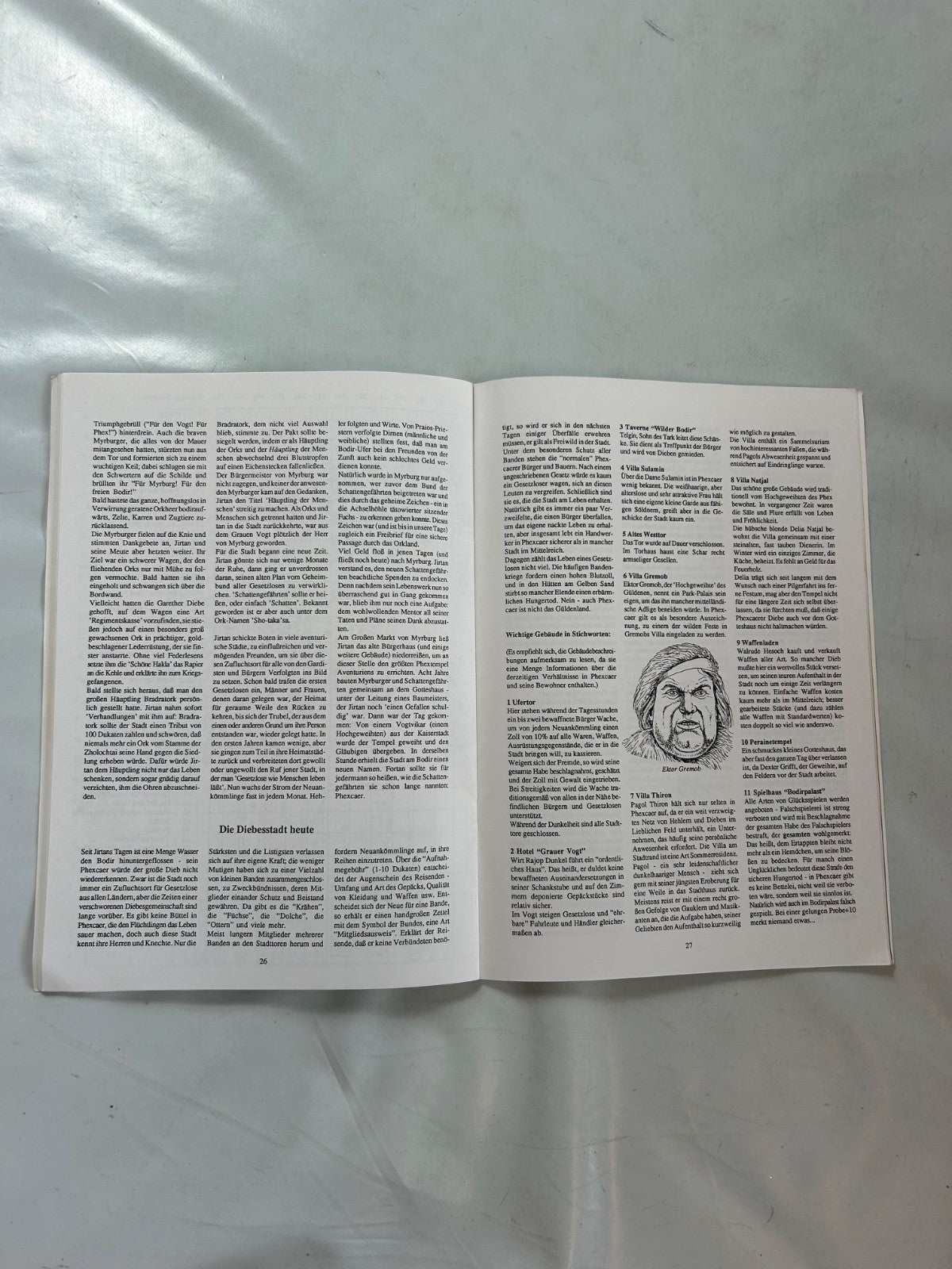 Detailfoto 6 – SKU A11201 – Rollenspiel-Buch gebraucht bei Brettspielimperium