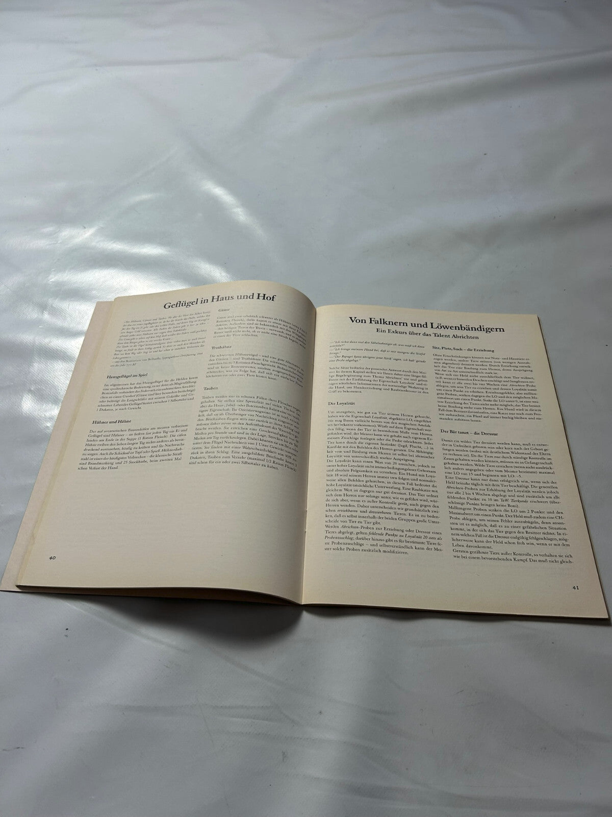 Detailfoto 5 – SKU A8694 – Rollenspiel-Buch gebraucht bei Brettspielimperium
