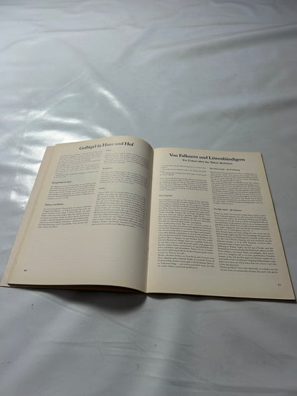 Detailfoto 5 – SKU A8694 – Rollenspiel-Buch gebraucht bei Brettspielimperium