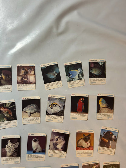 Detailfoto 8 – SKU A9627 – Kartenspiel gebraucht bei Brettspielimperium