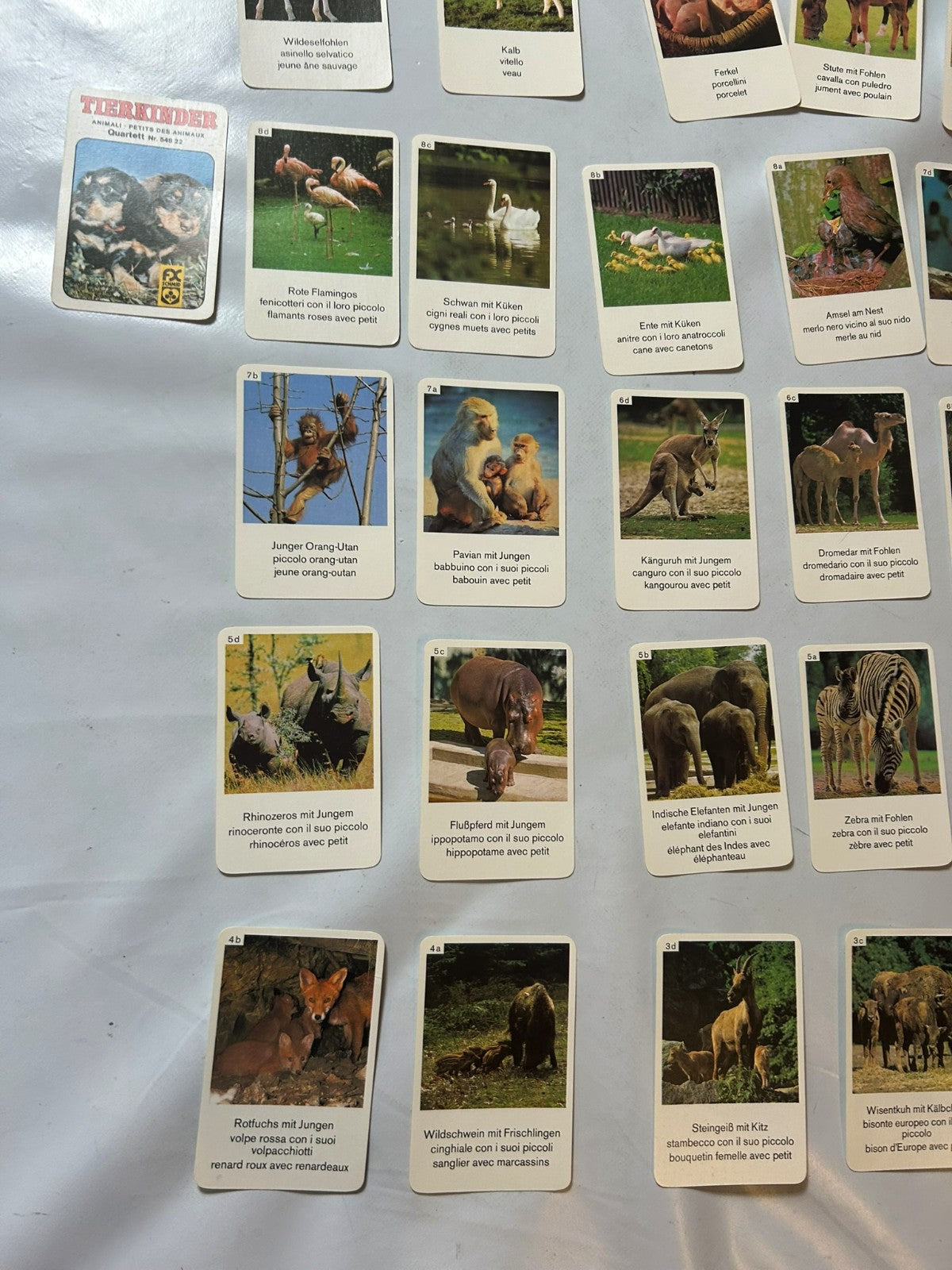 Detailfoto 9 – SKU A9628 – Kartenspiel gebraucht bei Brettspielimperium