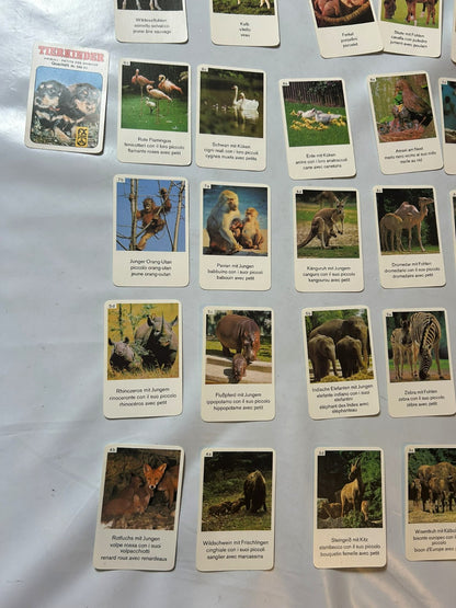 Detailfoto 9 – SKU A9628 – Kartenspiel gebraucht bei Brettspielimperium