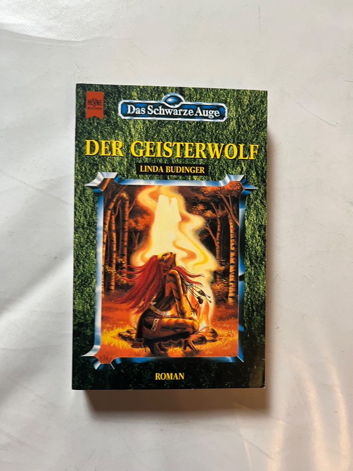 Detailfoto 2 – SKU A10944 – Rollenspiel-Buch gebraucht bei Brettspielimperium