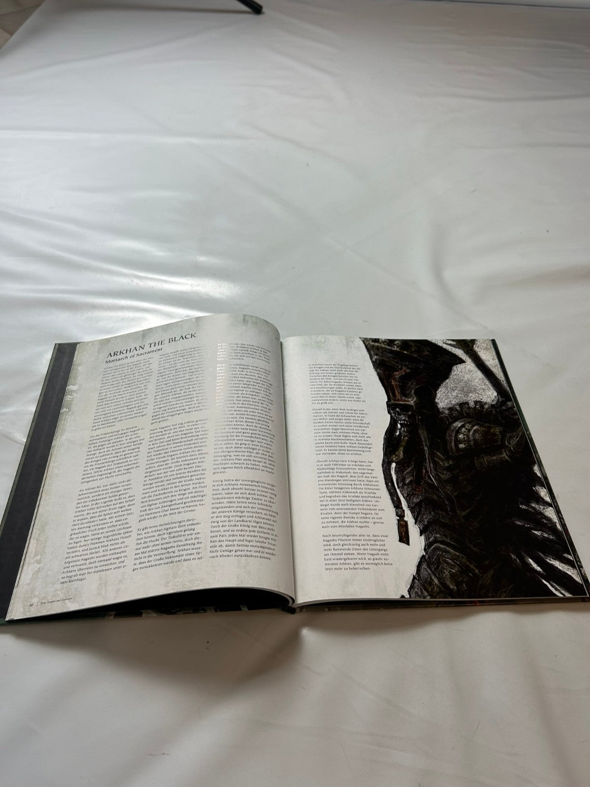 Detailfoto 7 – SKU A9930 – Rollenspiel-Buch gebraucht bei Brettspielimperium