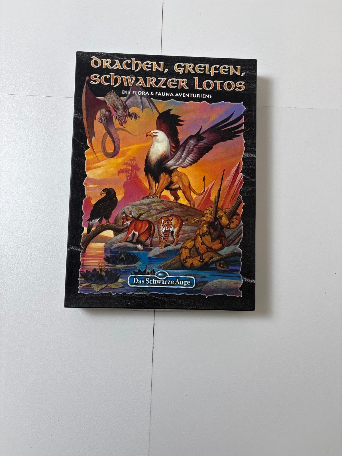 DSA Das Schwarze Auge Drachen Greifen Schwarzer Lotos Box Fanpro - Vollständig - Ansicht 2