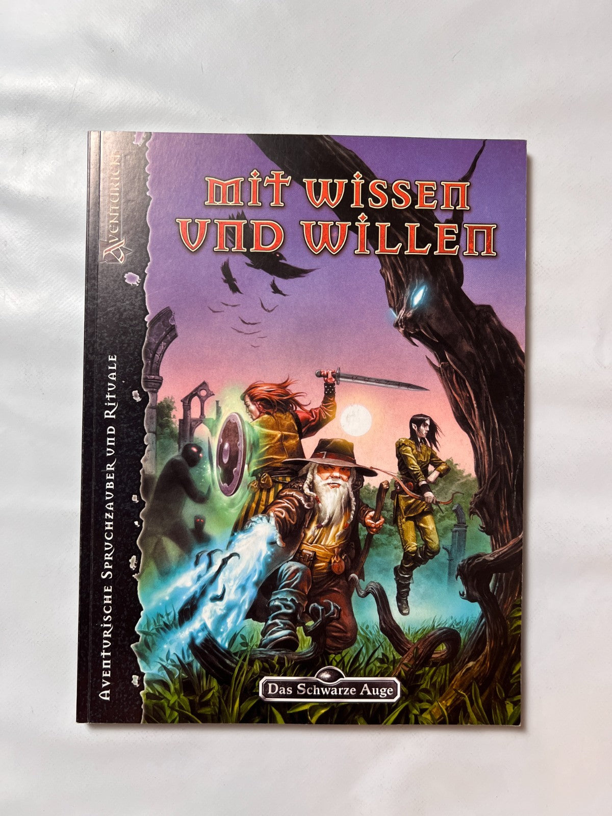 Das Schwarze Auge DSA Spielhilfe Mit Wissen und Willen - Ansicht 2