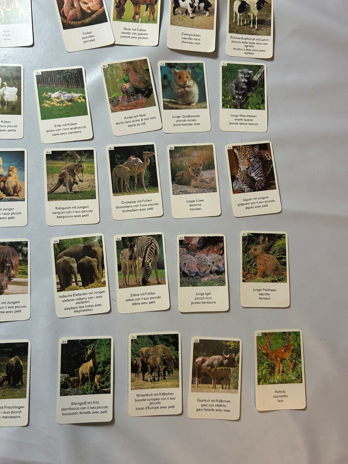 Detailfoto 8 – SKU A9628 – Kartenspiel gebraucht bei Brettspielimperium