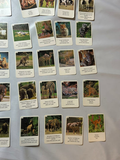 Detailfoto 8 – SKU A9628 – Kartenspiel gebraucht bei Brettspielimperium