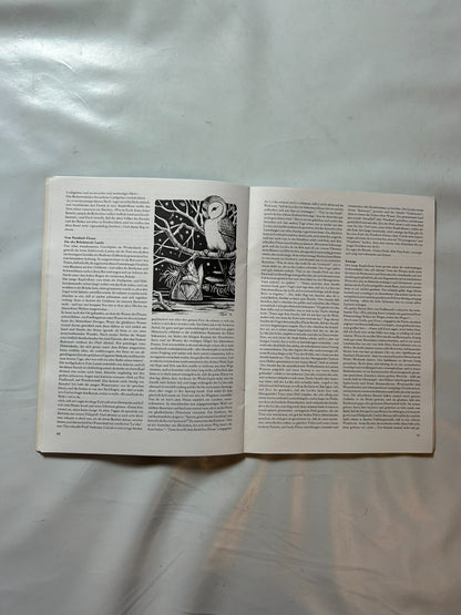 Detailfoto 6 – SKU A10388 – Rollenspiel-Buch gebraucht bei Brettspielimperium