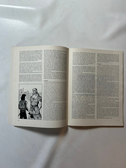 Detailfoto 2 – SKU A6174 – Rollenspiel-Buch gebraucht bei Brettspielimperium