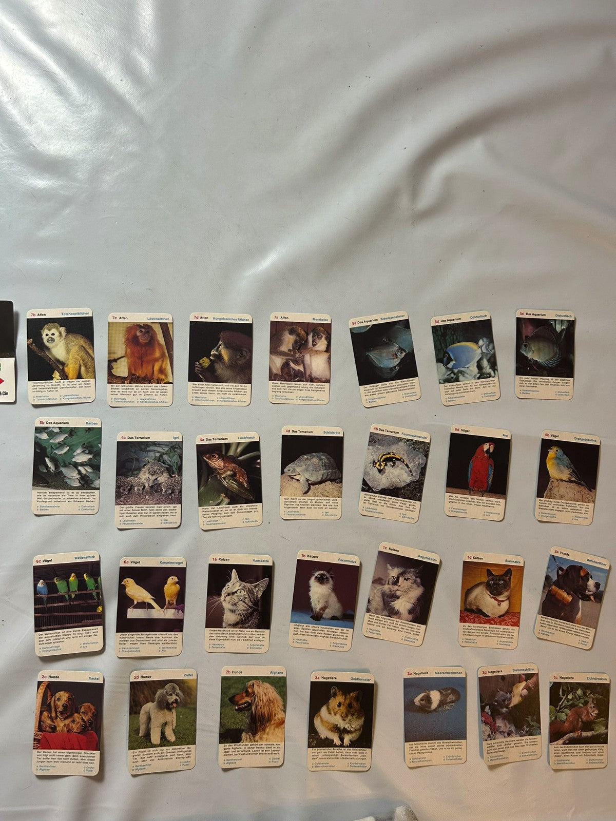 Detailfoto 6 – SKU A9627 – Kartenspiel gebraucht bei Brettspielimperium