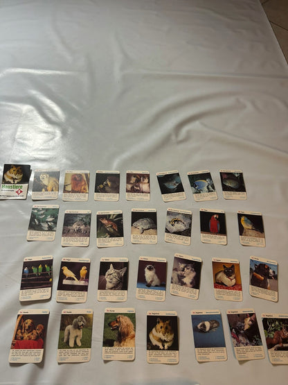 Detailfoto 9 – SKU A9627 – Kartenspiel gebraucht bei Brettspielimperium