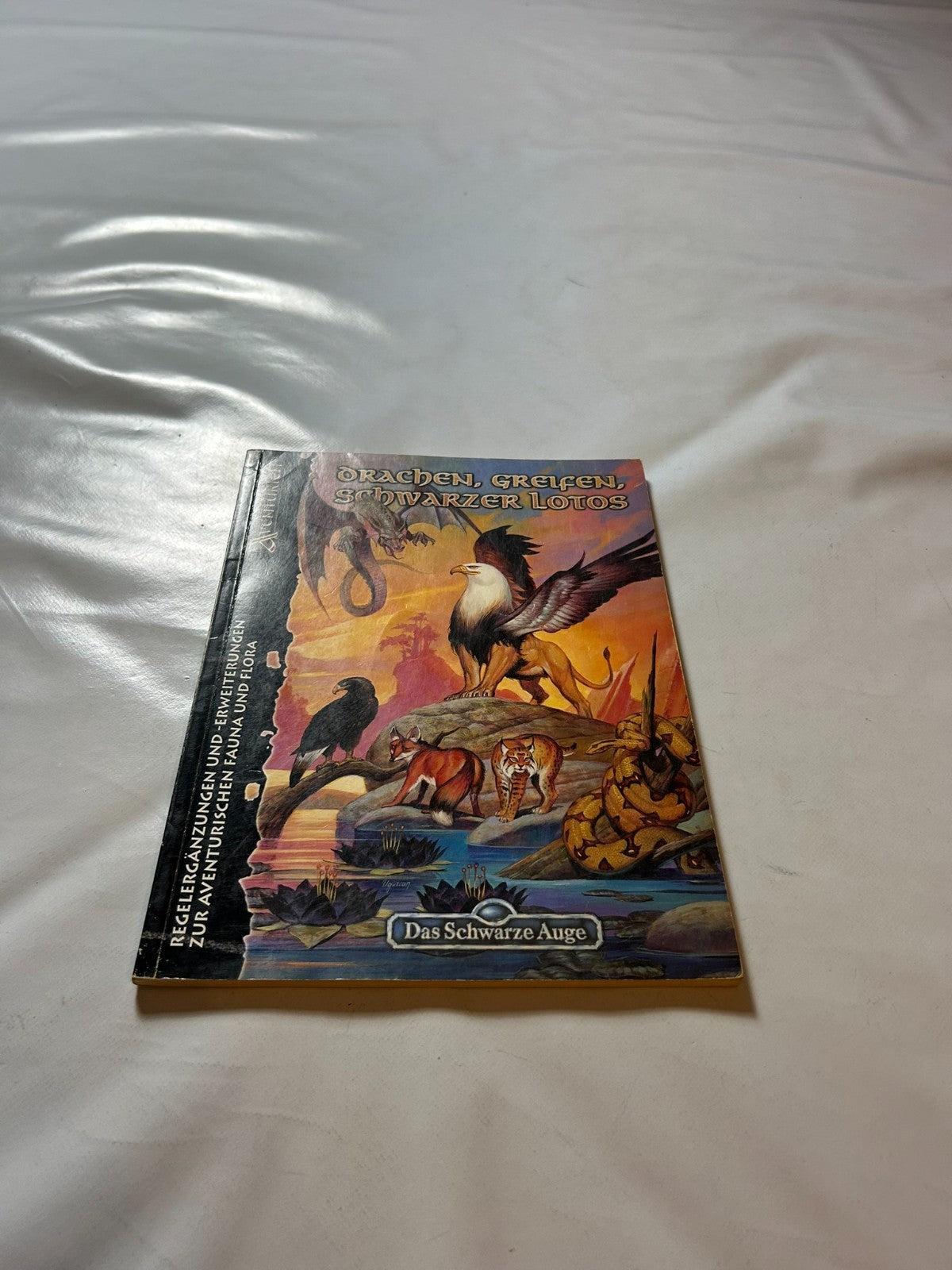 Detailfoto 2 – SKU A10615 – Rollenspiel-Buch gebraucht bei Brettspielimperium