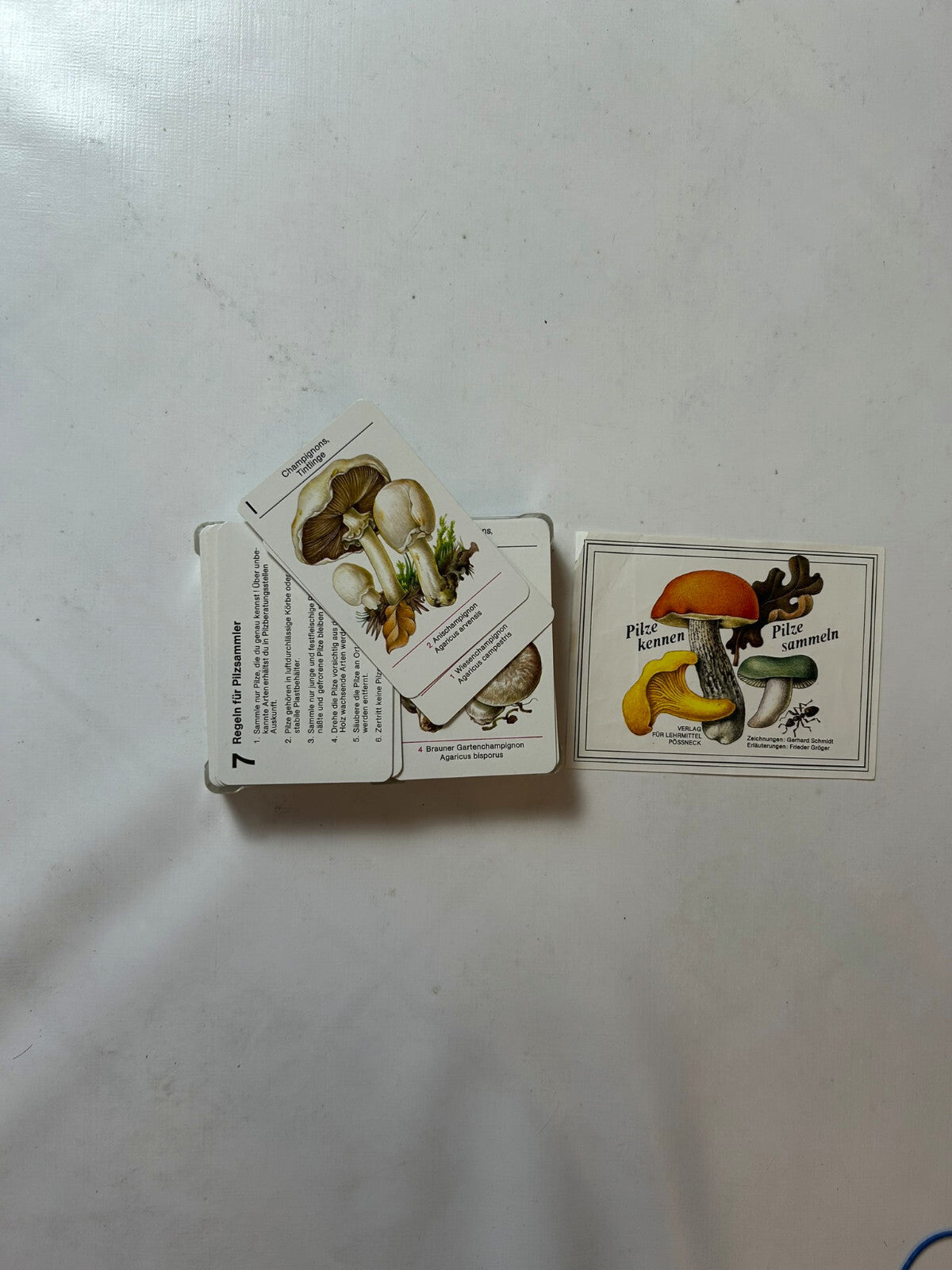 Detailfoto 4 – SKU A6301 – Kartenspiel gebraucht bei Brettspielimperium