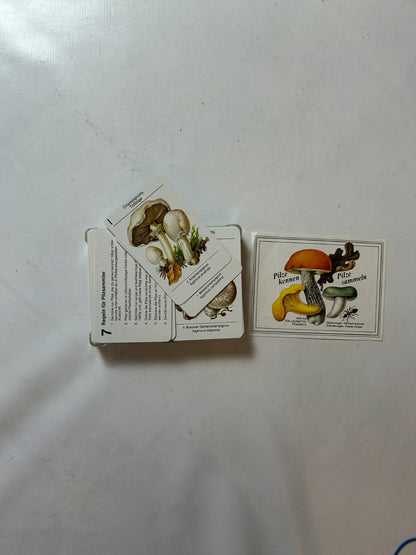 Detailfoto 4 – SKU A6301 – Kartenspiel gebraucht bei Brettspielimperium