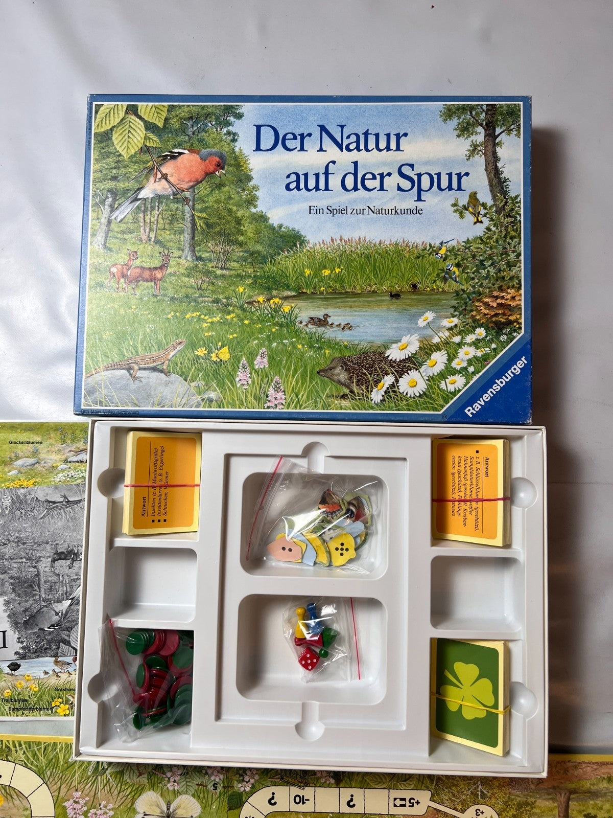 Detailfoto 3 – SKU A14503 – Gesellschaftsspiel gebraucht bei Brettspielimperium