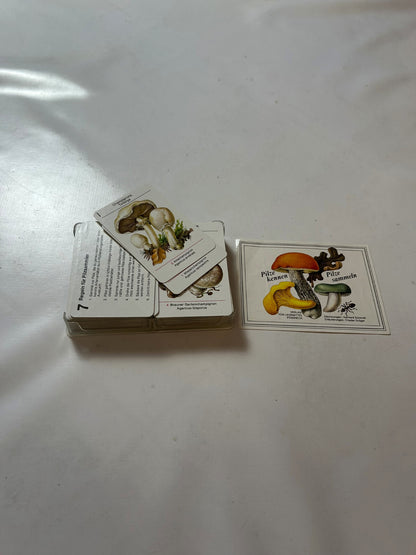 Detailfoto 5 – SKU A6301 – Kartenspiel gebraucht bei Brettspielimperium
