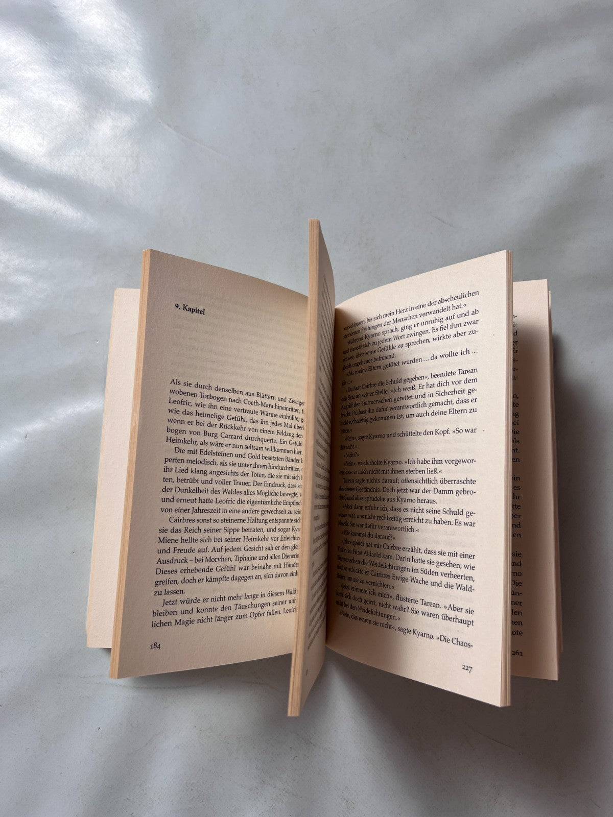 Detailfoto 8 – SKU A14272 – Rollenspiel-Buch gebraucht bei Brettspielimperium
