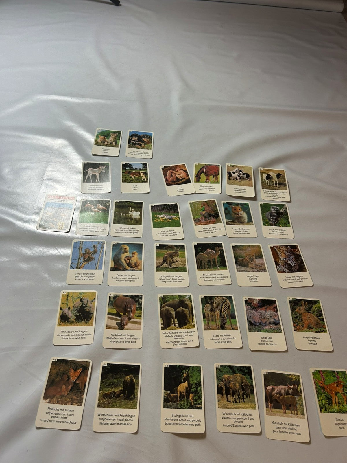 Detailfoto 5 – SKU A9628 – Kartenspiel gebraucht bei Brettspielimperium