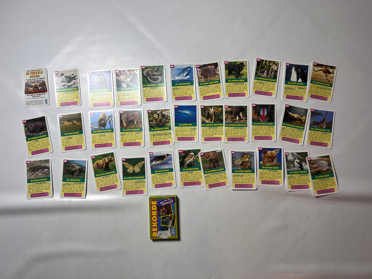Detailfoto 3 – SKU A6477 – Kartenspiel gebraucht bei Brettspielimperium