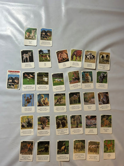 Detailfoto 4 – SKU A9628 – Kartenspiel gebraucht bei Brettspielimperium