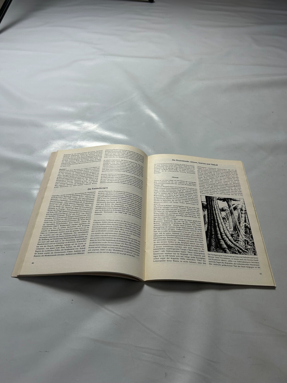 Detailfoto 5 – SKU A8709 – Rollenspiel-Buch gebraucht bei Brettspielimperium