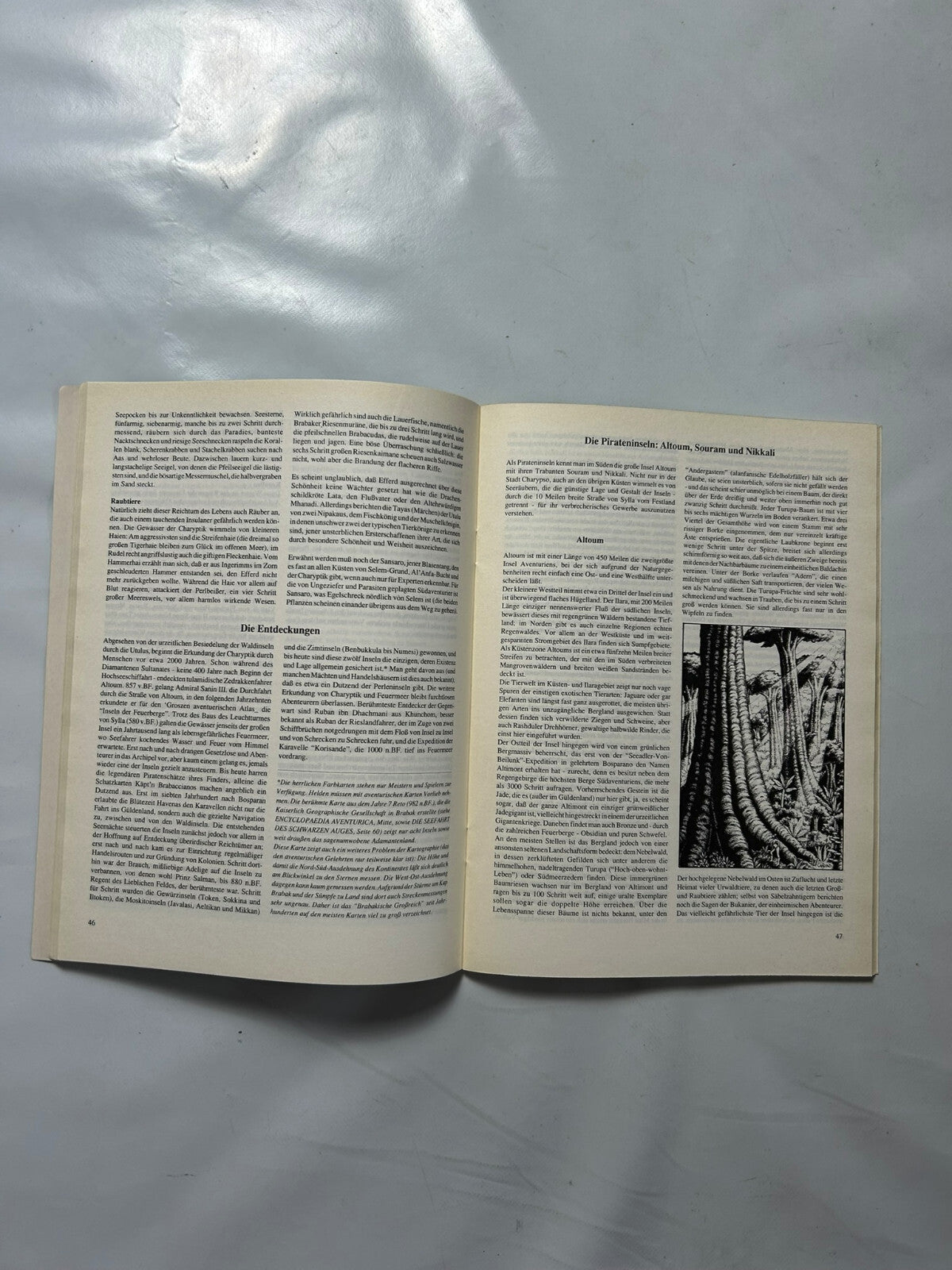 Detailfoto 4 – SKU A8709 – Rollenspiel-Buch gebraucht bei Brettspielimperium