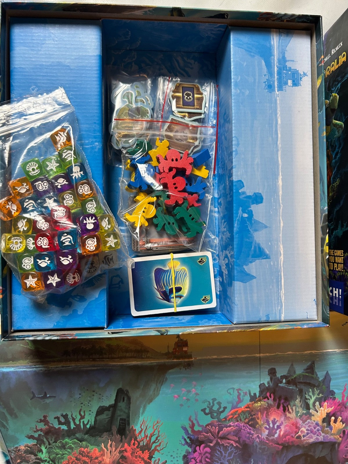 Coralia - Huch - Ab 10 Jahren - Vollständig Gesellschaftsspiel Brettspiel - Ansicht 8