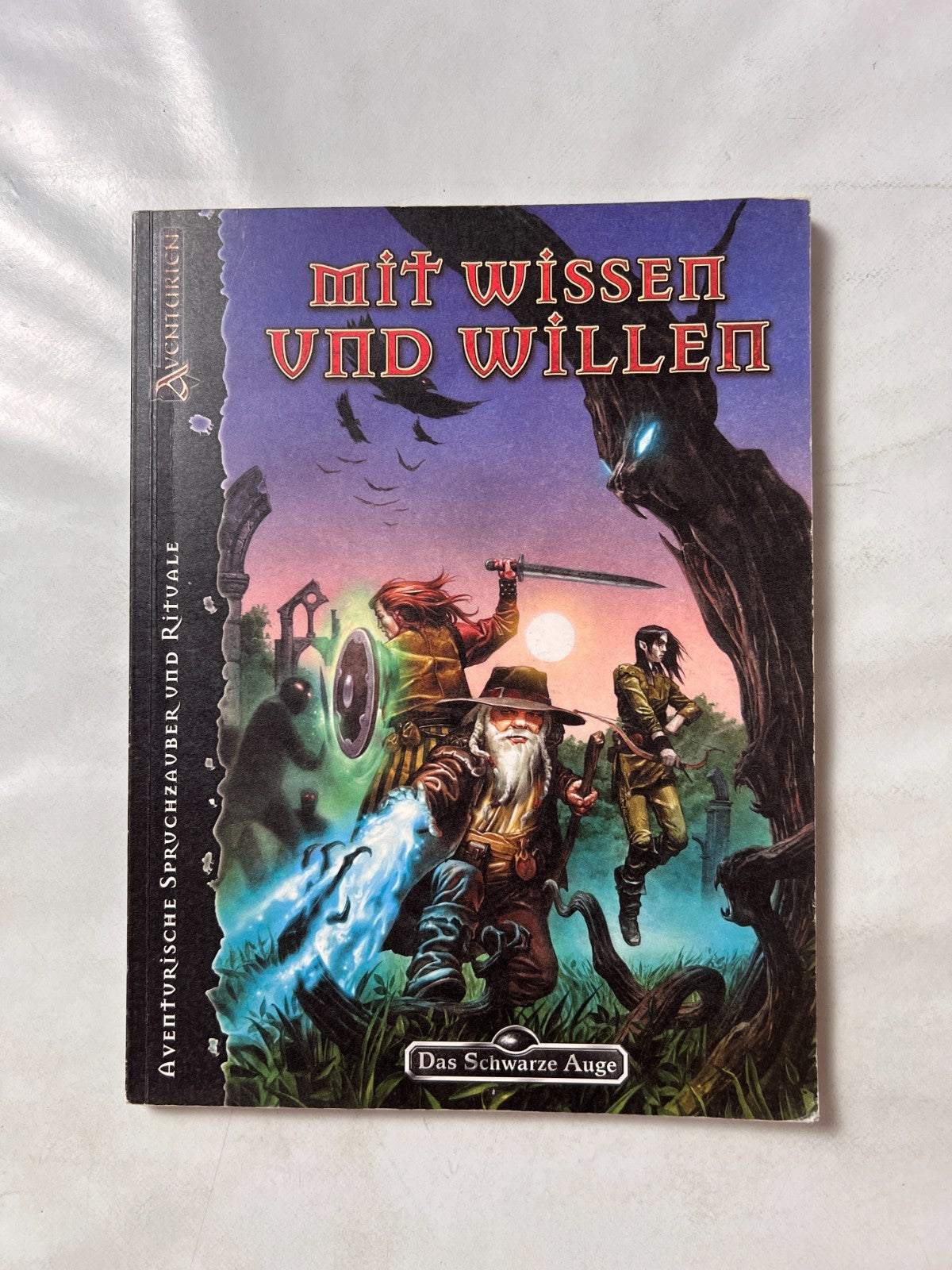 Das Schwarze Auge DSA Spielhilfe Mit Wissen und Willen - Ansicht 2