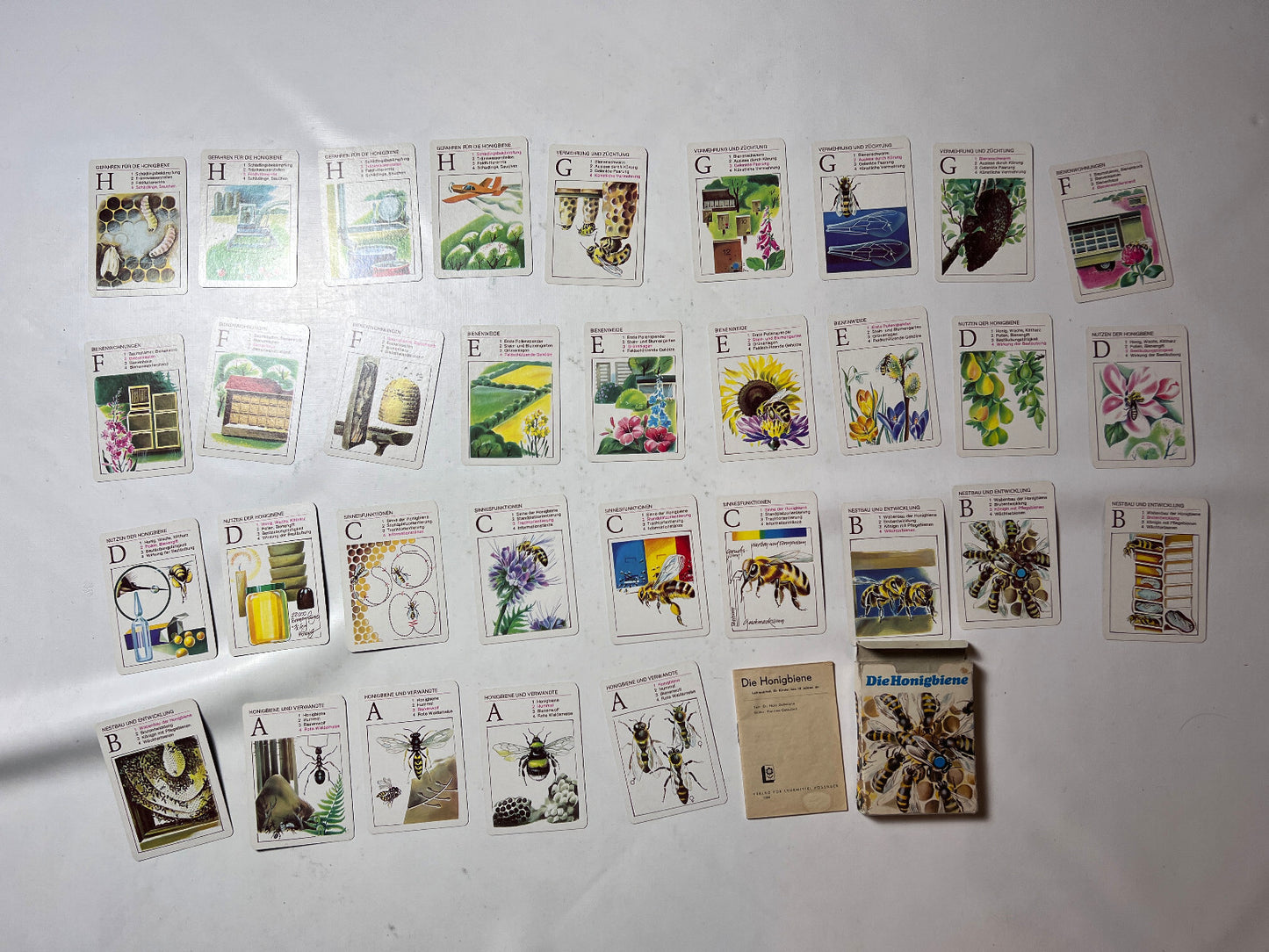 DDR QUARTETT -DIE HONIGBIENE- Lehrmittel Pössneck  - Vollständig - Ansicht 2