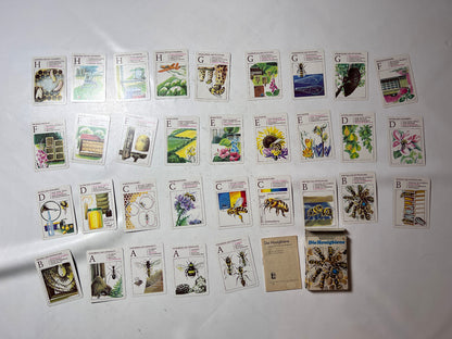 DDR QUARTETT -DIE HONIGBIENE- Lehrmittel Pössneck  - Vollständig - Ansicht 2