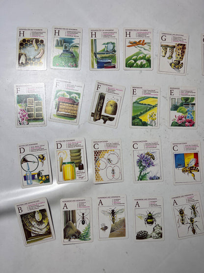 DDR QUARTETT -DIE HONIGBIENE- Lehrmittel Pössneck  - Vollständig - Ansicht 3