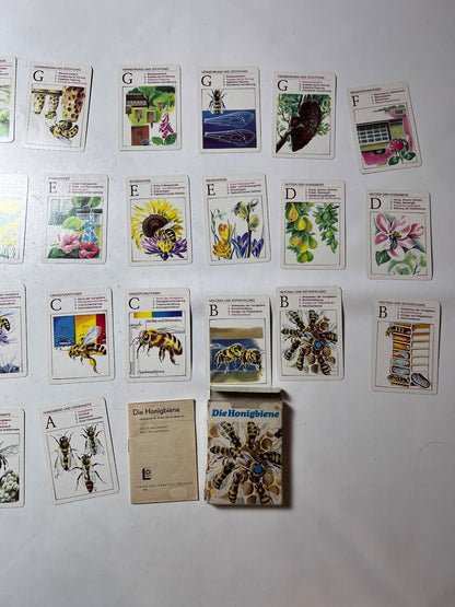 DDR QUARTETT -DIE HONIGBIENE- Lehrmittel Pössneck  - Vollständig - Ansicht 4