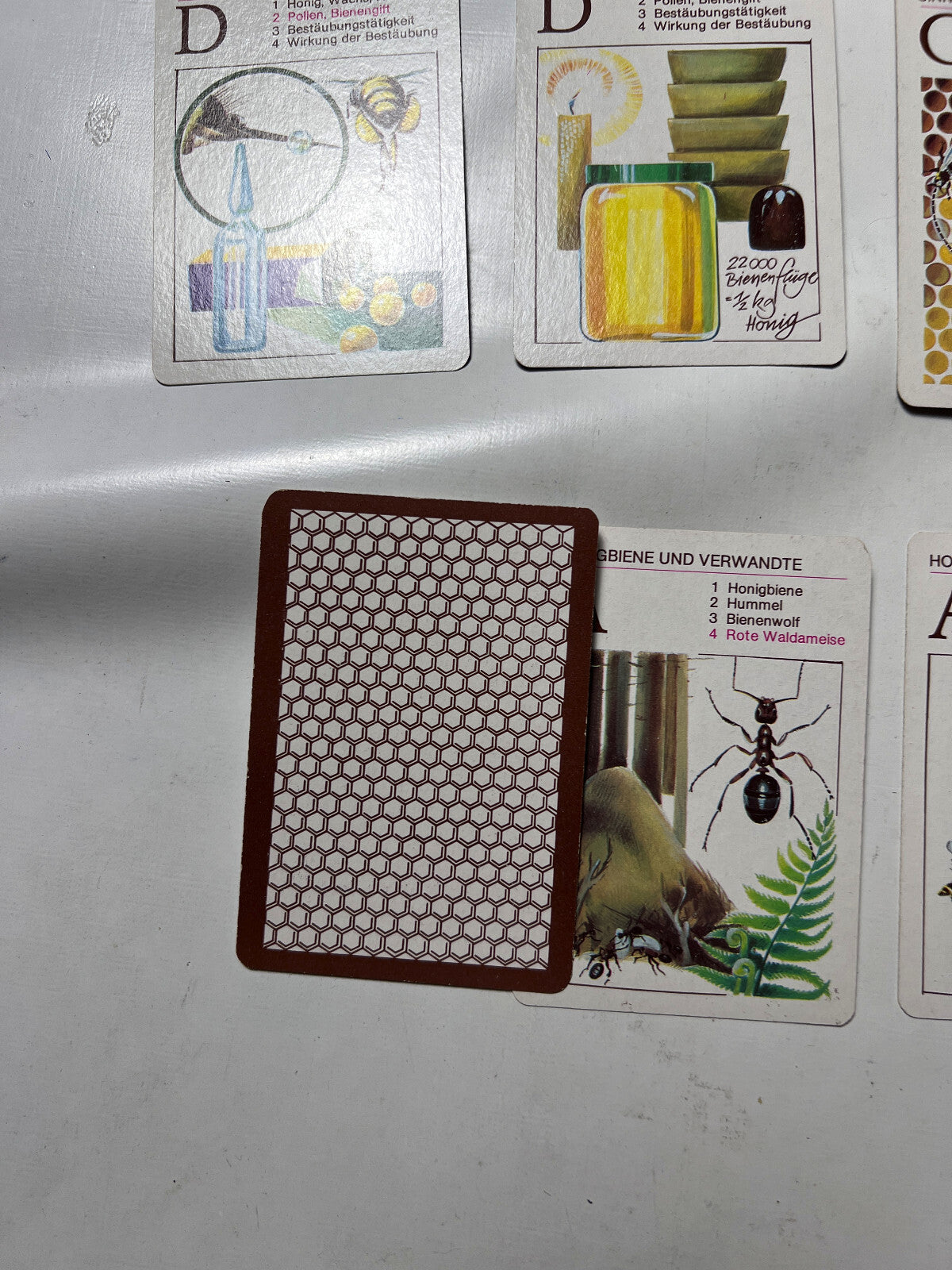 DDR QUARTETT -DIE HONIGBIENE- Lehrmittel Pössneck  - Vollständig - Ansicht 5