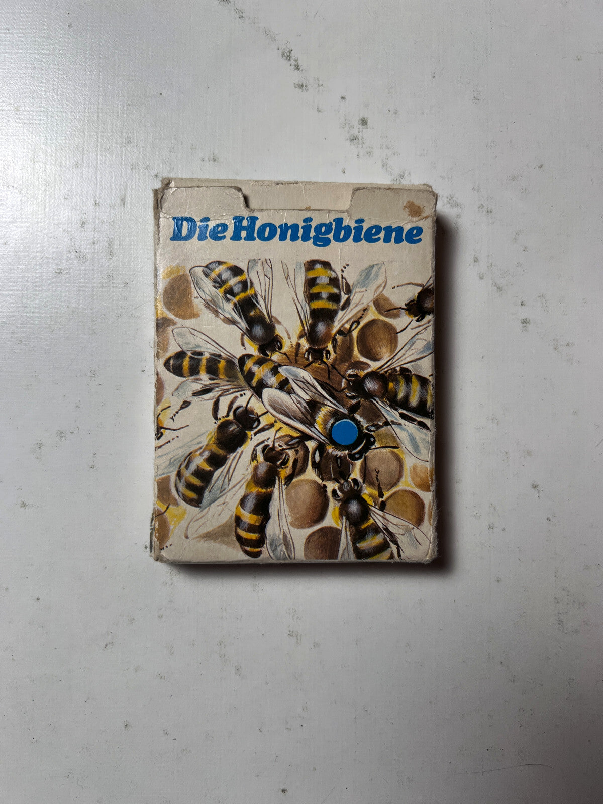 DDR QUARTETT -DIE HONIGBIENE- Lehrmittel Pössneck  - Vollständig - Ansicht 6