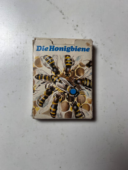 DDR QUARTETT -DIE HONIGBIENE- Lehrmittel Pössneck  - Vollständig - Ansicht 6