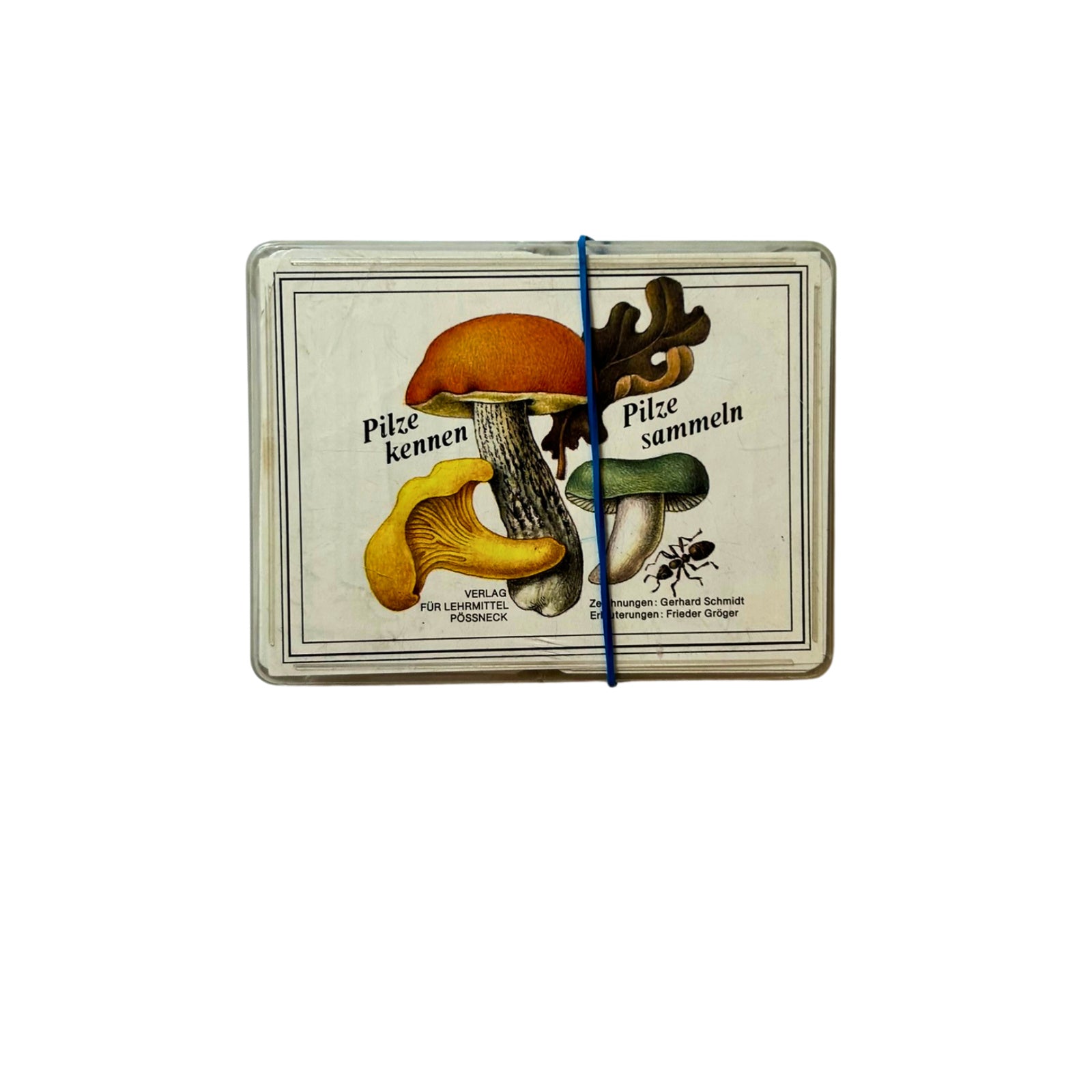 DDR QUARTETT PILZE KENNEN-PILZE SAMMELN - Pössneck 1987 – SKU A6301 – Kartenspiel gebraucht kaufen bei Brettspielimperium