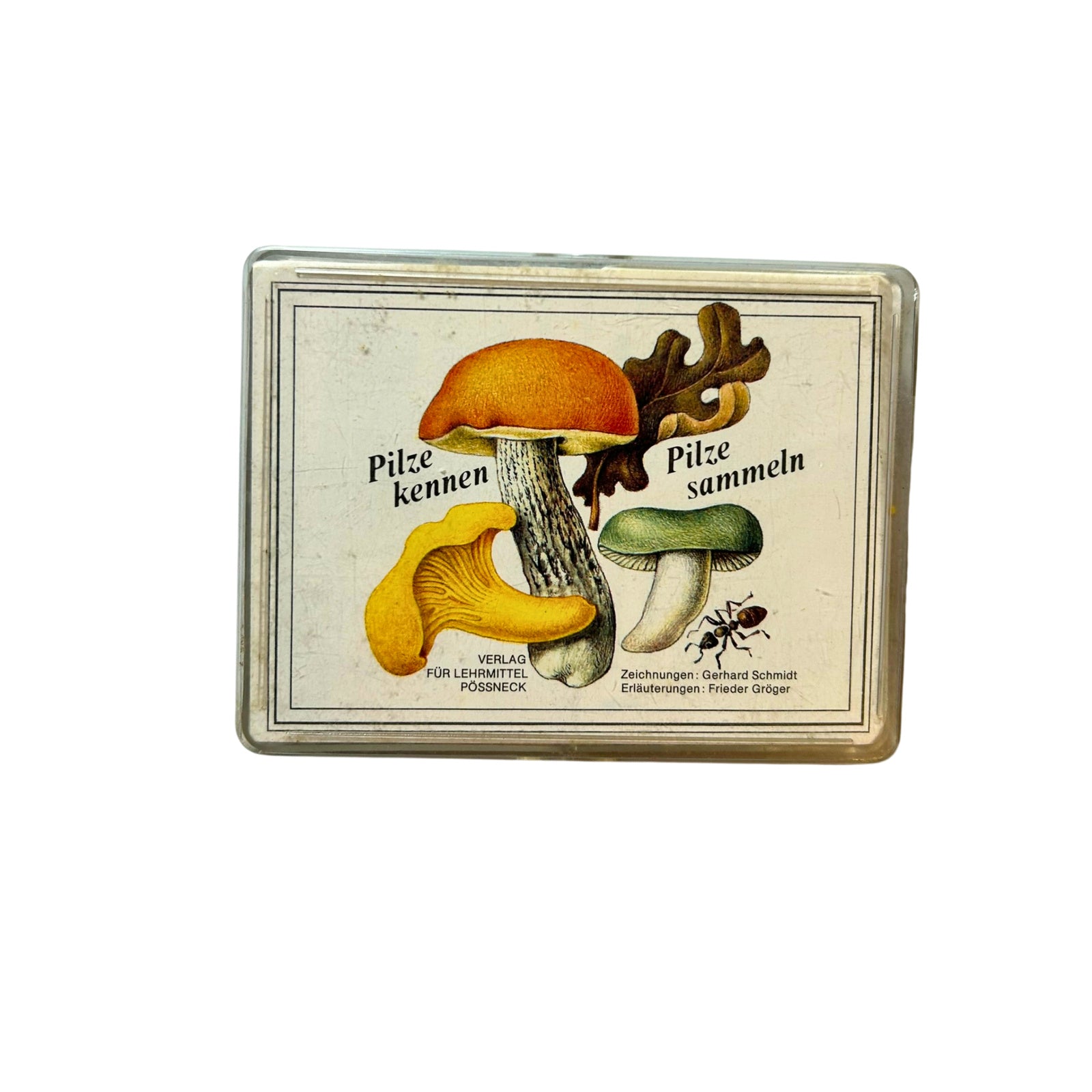 DDR QUARTETT PILZE KENNEN-PILZE SAMMELN - Pössneck 1987 – SKU A7194 – Kartenspiel gebraucht kaufen bei Brettspielimperium